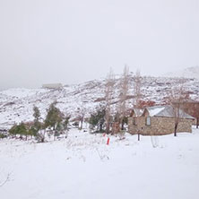 Cabañas Alauri en Andacollo, Neuquén