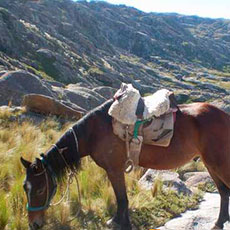 Fotografía Los Hornillos