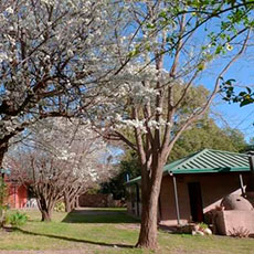 Cabañas San Javier