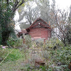 Cabañas Alta Gracia