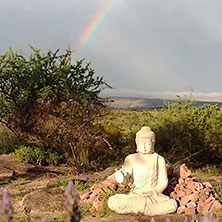 Cabañas en Arroyo de los Patos