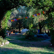 Cabañas Chascomus