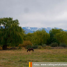 Fotografía Barreal