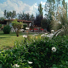 Cabañas Cacheuta