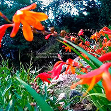 Cabañas Cacheuta