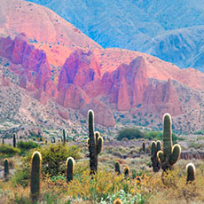 Fotografía Cafayate