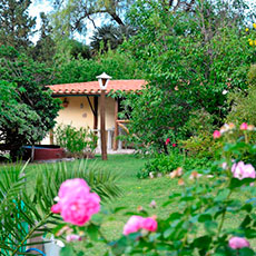 Cabañas Capilla del Monte