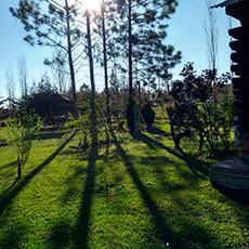 Cabañas El Arbolito