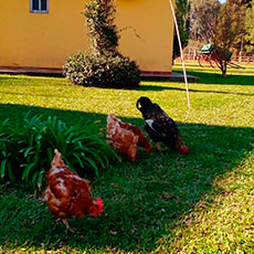 Cabañas La Joaquina