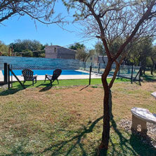 Cabañas  Cortaderas