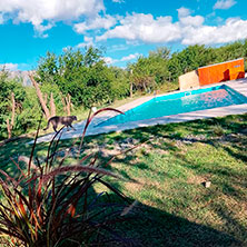 Cabañas  Cortaderas