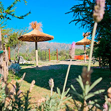 Cabañas  Cortaderas