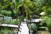 Cabañas Nontue