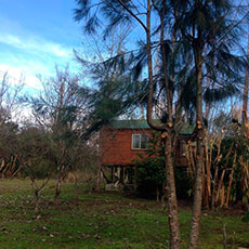 Cabañas Delta Tigre