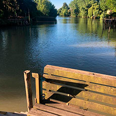 Cabañas Delta Tigre