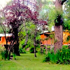 Cabañas Delta Tigre
