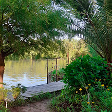 Cabañas Delta Tigre