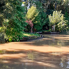 Cabañas Delta Tigre