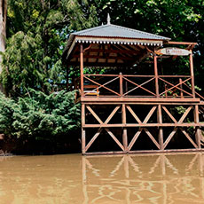 Cabañas Delta Tigre