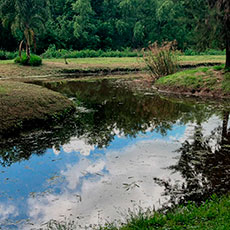 Cabañas Delta Tigre