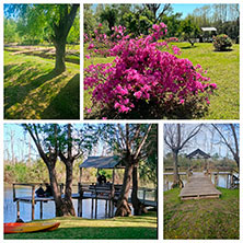Cabañas Delta Tigre
