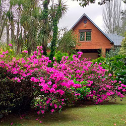 Casas Delta Tigre