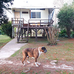 Casas Delta Tigre