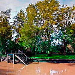 Casas Delta Tigre