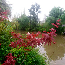 Cabañas Delta Tigre