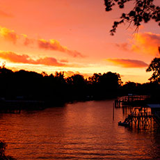 Cabañas Delta Tigre