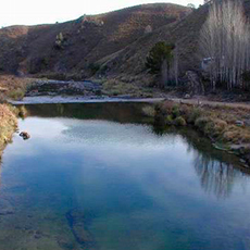 Cabañas El Durazno