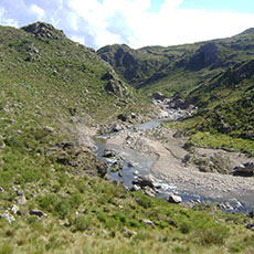 Cabañas El Trapiche