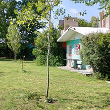 Cabañas El Trapiche