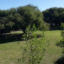 Cabañas El Trapiche