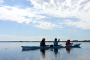 Esteros del Iberá