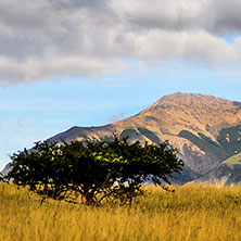 Fotografía Junin de los Andes