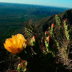 Alojamiento La Cumbre