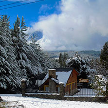 Cabañas Lago Puelo