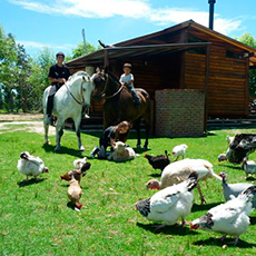 Cabañas Pachamia