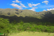 Cabañas Loma Bola