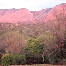 Cabañas Los Hornillos