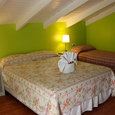 Cabañas Malargue