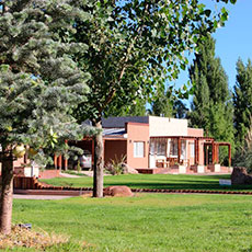 Cabañas Malargue