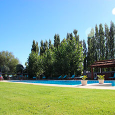 Cabañas Malargue
