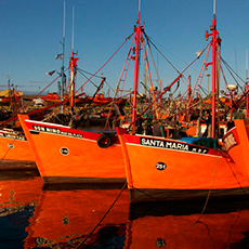 Mar del Plata