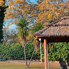 Cabañas Mendoza