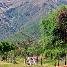 Cabañas  Merlo