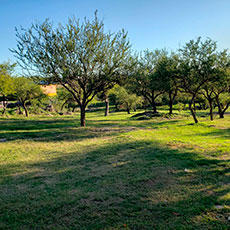 Cabañas Mina Clavero