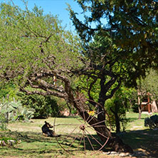 Cabañas Mina Clavero