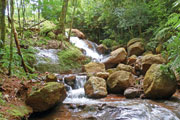 Cabañas Misiones